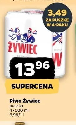 Piwo Żywiec 4-pak promocja w Netto