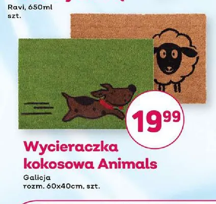 Wycieraczka kokosowa Animals 60x40 cm Galicja promocja w Bliski