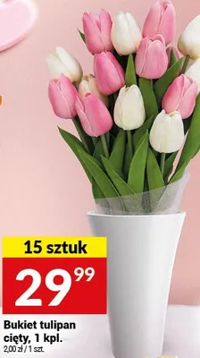 Bukiet tulipan cięty, 15 sztuk promocja w Twój Market