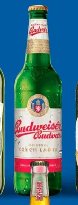 Piwo promocja w Lidl