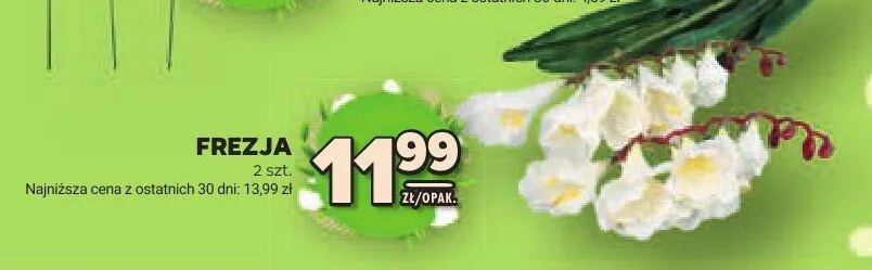 Frezja 2szt. promocja w Stokrotka