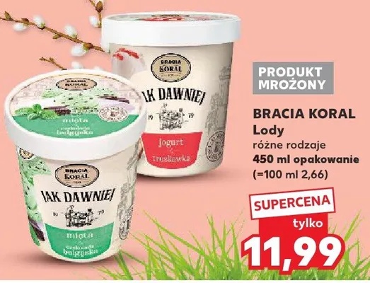 Lody różne rodzaje Bracia Koral promocja w Kaufland
