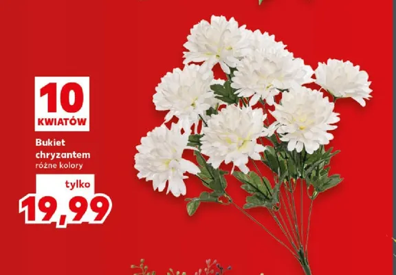 Bukiet chryzantem 10 kwiatów promocja w Kaufland