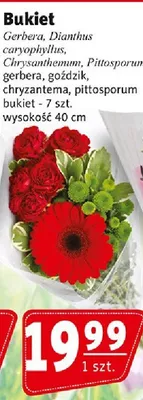 Bukiet gerbera, goździk, chryzantema, pittosporum promocja w Prim Market