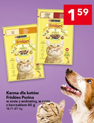 Karma dla kotów Friskies Purina w sosie z kurczakiem promocja w LEWIATAN
