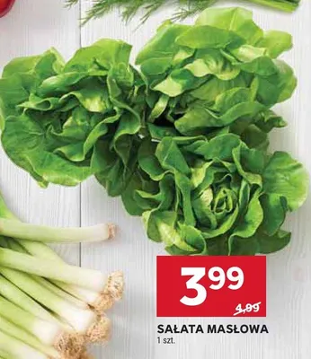 Sałata masłowa promocja w Stokrotka