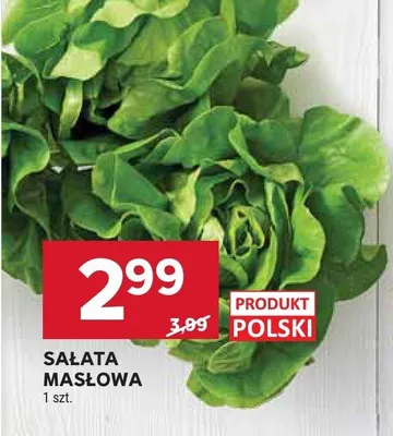 Sałata masłowa promocja w Stokrotka