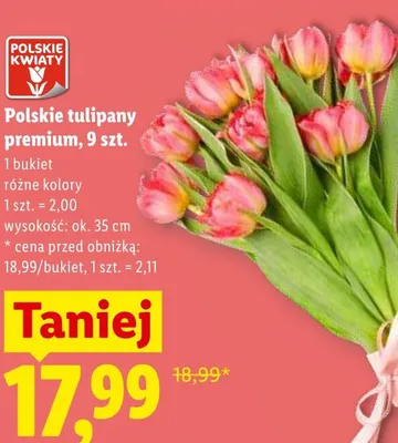 Polskie tulipany premium wys. ok. 35cm promocja w Lidl