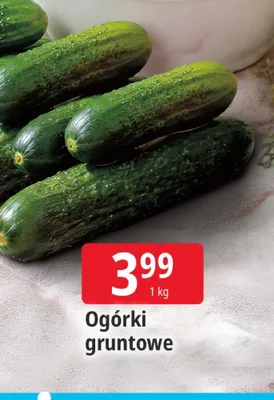 Ogórki gruntowe promocja w Leclerc