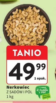 Nerkowiec Z Sadów i Pól promocja w Intermarche