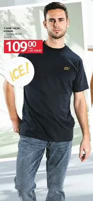 T-shirt męski Iceberg rozmiary M-2XL promocja w Selgros
