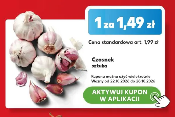 Czosnek promocja w Kaufland