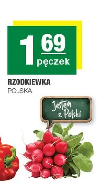 Rzodkiewka polska promocja w SPAR