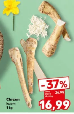 Chrzan luzem promocja w Kaufland
