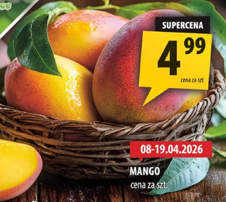 Mango promocja w Arhelan