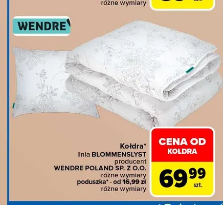 Poduszka Blommenslyst Wendre promocja w Carrefour