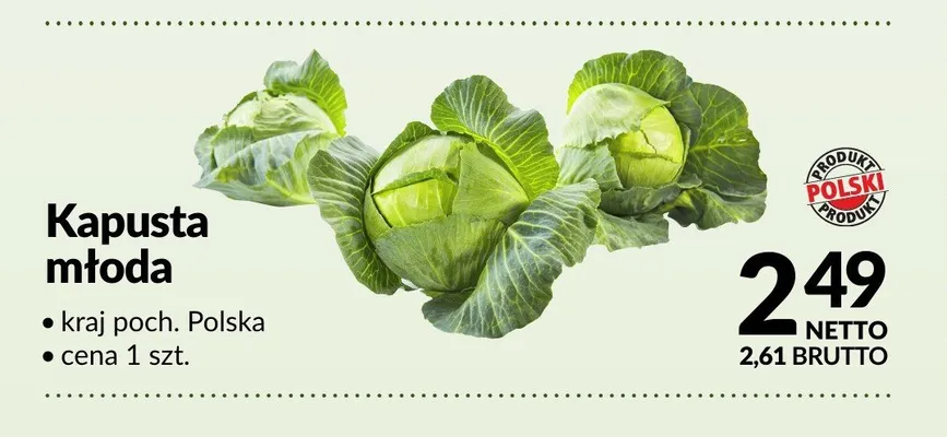 Kapusta młoda polska promocja w Makro