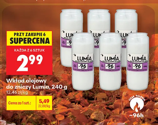 Wkład olejowy do zniczy Lumia promocja w Biedronka