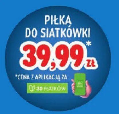 Piłka do siatkówki promocja w Stokrotka