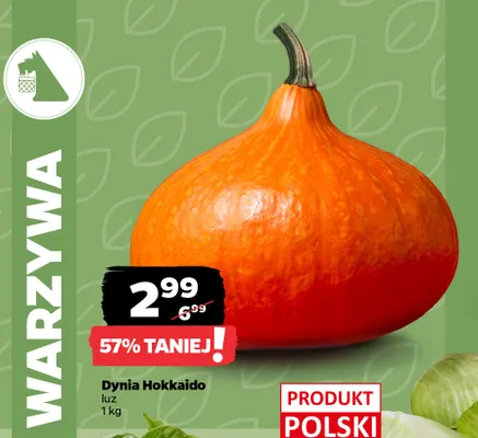 Dynia Hokkaido promocja w Netto