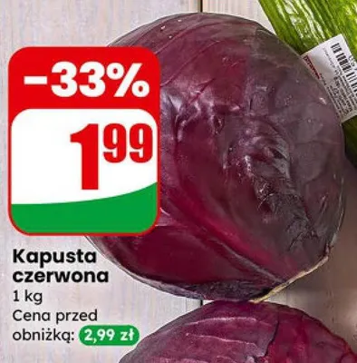 Kapusta czerwona promocja w Dino