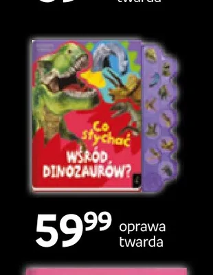 Książka Co słychać wśród dinozaurów? Wilga oprawa twarda promocja w Empik