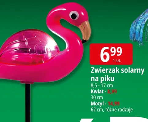 Zwierzak solarny na piku promocja w Leclerc