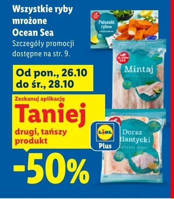 Mintaj Ocean Sea promocja w Lidl