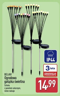 Ogrodowa gałązka świetlna promocja w Aldi