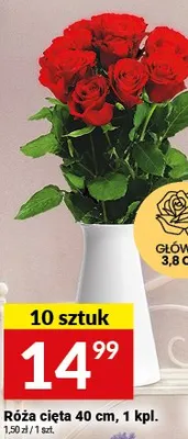 Róża cięta 40 cm promocja w Twój Market