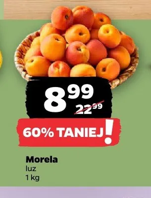 Morela promocja w Netto