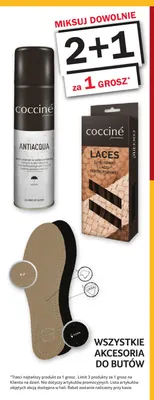 Impregnat Antiacqua Coccine promocja w Selgros