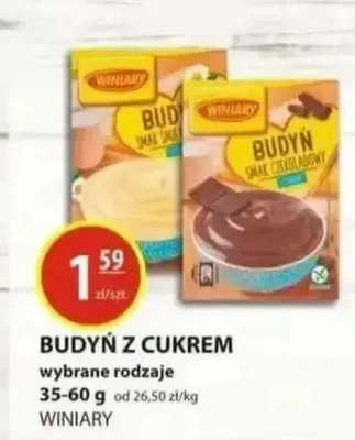 Budyń z cukrem wybrane rodzaje promocja w Zielony Koszyk