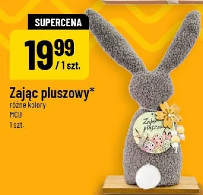 Zając pluszowy promocja w POLOmarket