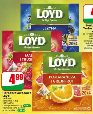 Herbatka owocowa Loyd Jeżyna promocja w Dino