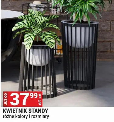 Kwietnik standy różne kolory i rozmiary promocja w Merkury Market