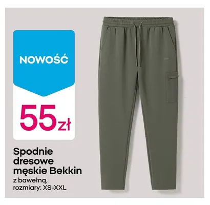 Spodnie dresowe męskie Bekkin z bawełną promocja w Pepco