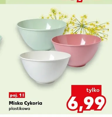 Miska plastikowa Cykoria 1 l promocja w Kaufland