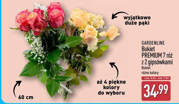 Bukiet PREMIUM 7 róż z 2 gipsówkami różne kolory promocja w Aldi
