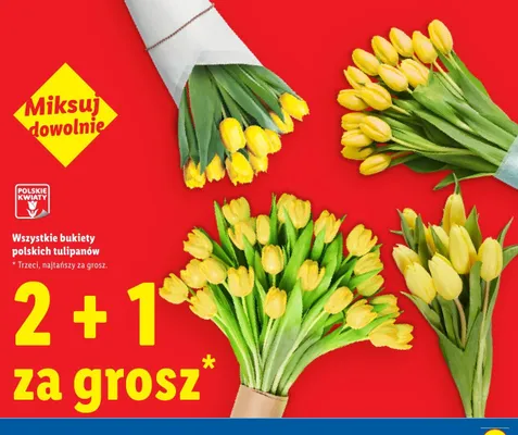 Wszystkie bukiety polskich tulipanów promocja w Lidl