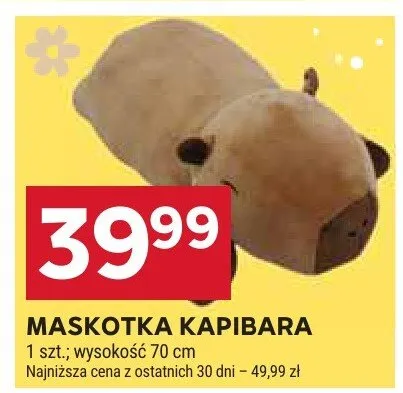 Maskotka Kapibara promocja w Stokrotka