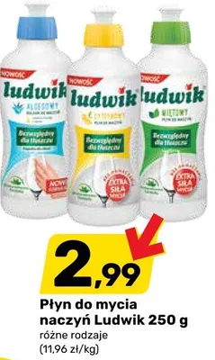 Płyn do mycia naczyń 250g promocja w Bricomarche
