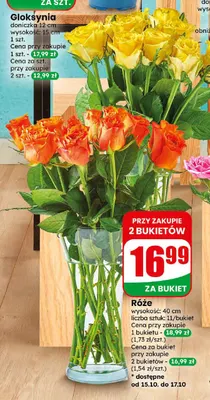 Róże promocja w Dino