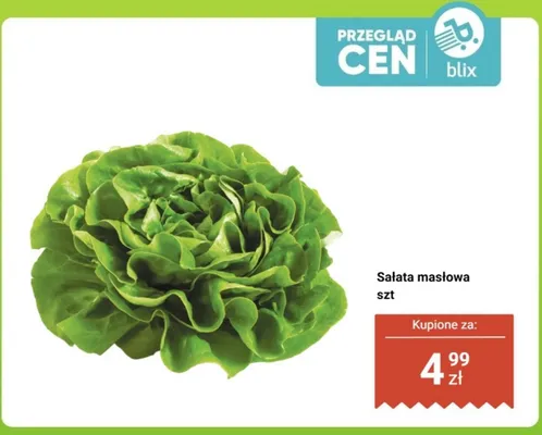 Sałata masłowa promocja w Dino