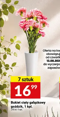 Bukiet cięty gałązkowy goździk promocja w Twój Market