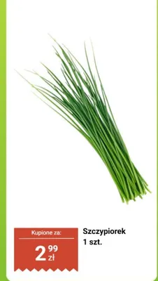 Szczypiorek Biedronka promocja w Biedronka