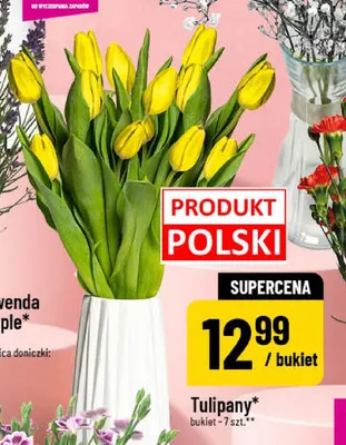 Tulipany promocja w POLOmarket
