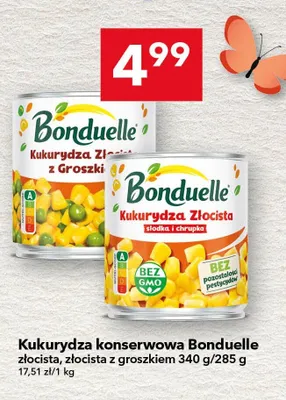 Kukurydza konserwowa złocista promocja w LEWIATAN