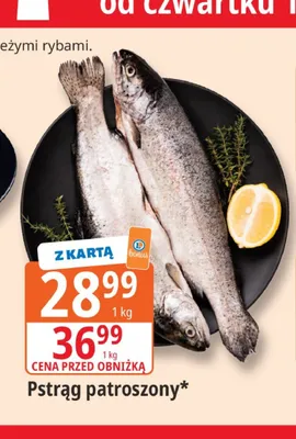 Pstrąg patroszony promocja w Leclerc