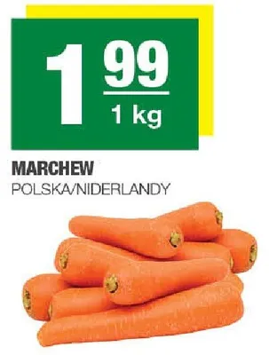 Marchew promocja w SPAR